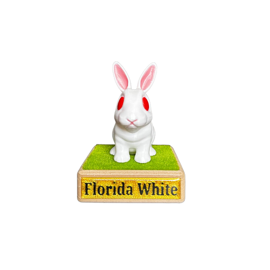 White rabbit figurine on a green base with 'Florida White' text