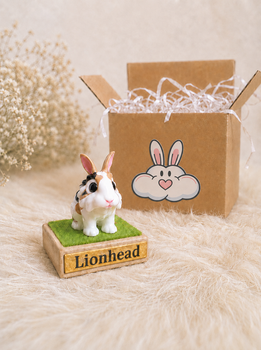 Mini Lionhead Rabbit