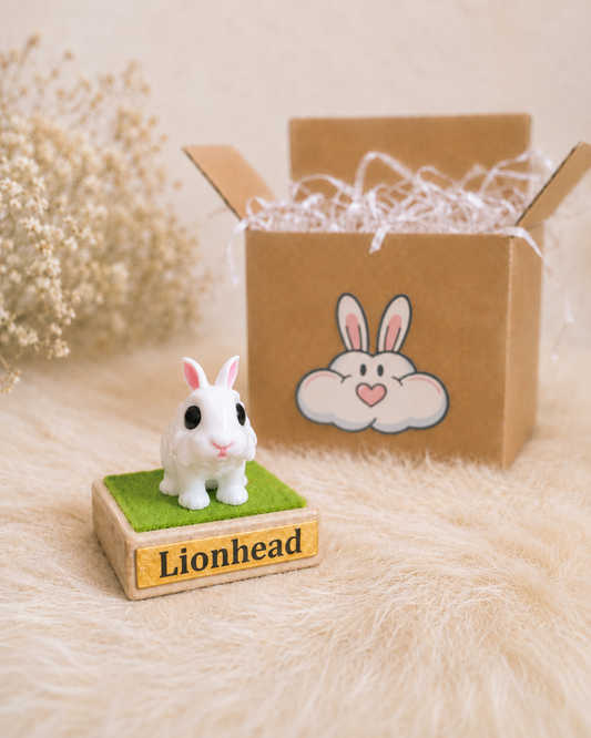 Mini Lionhead Rabbit