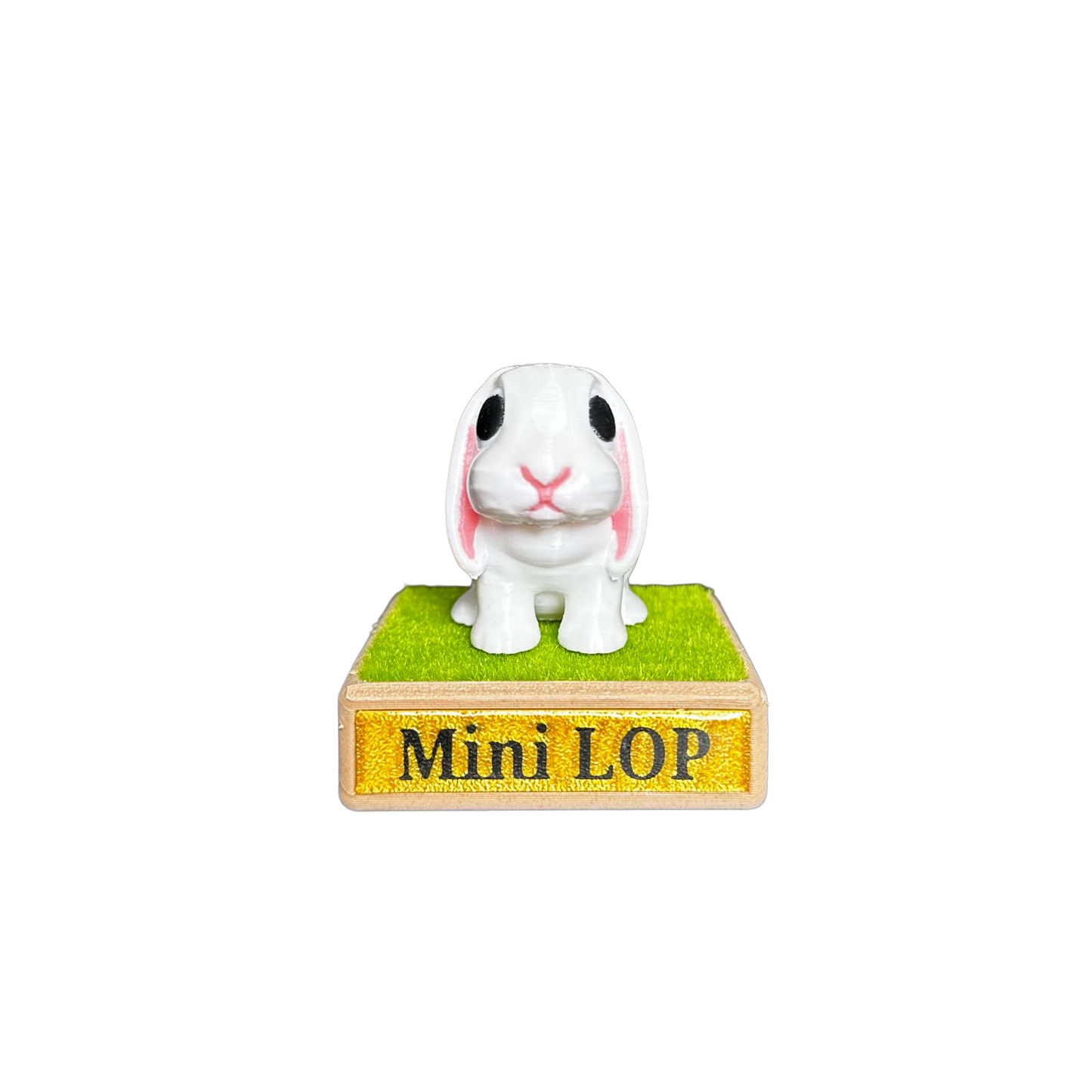 Mini Lop Rabbit