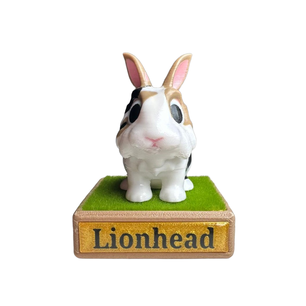 Mini Lionhead Rabbit