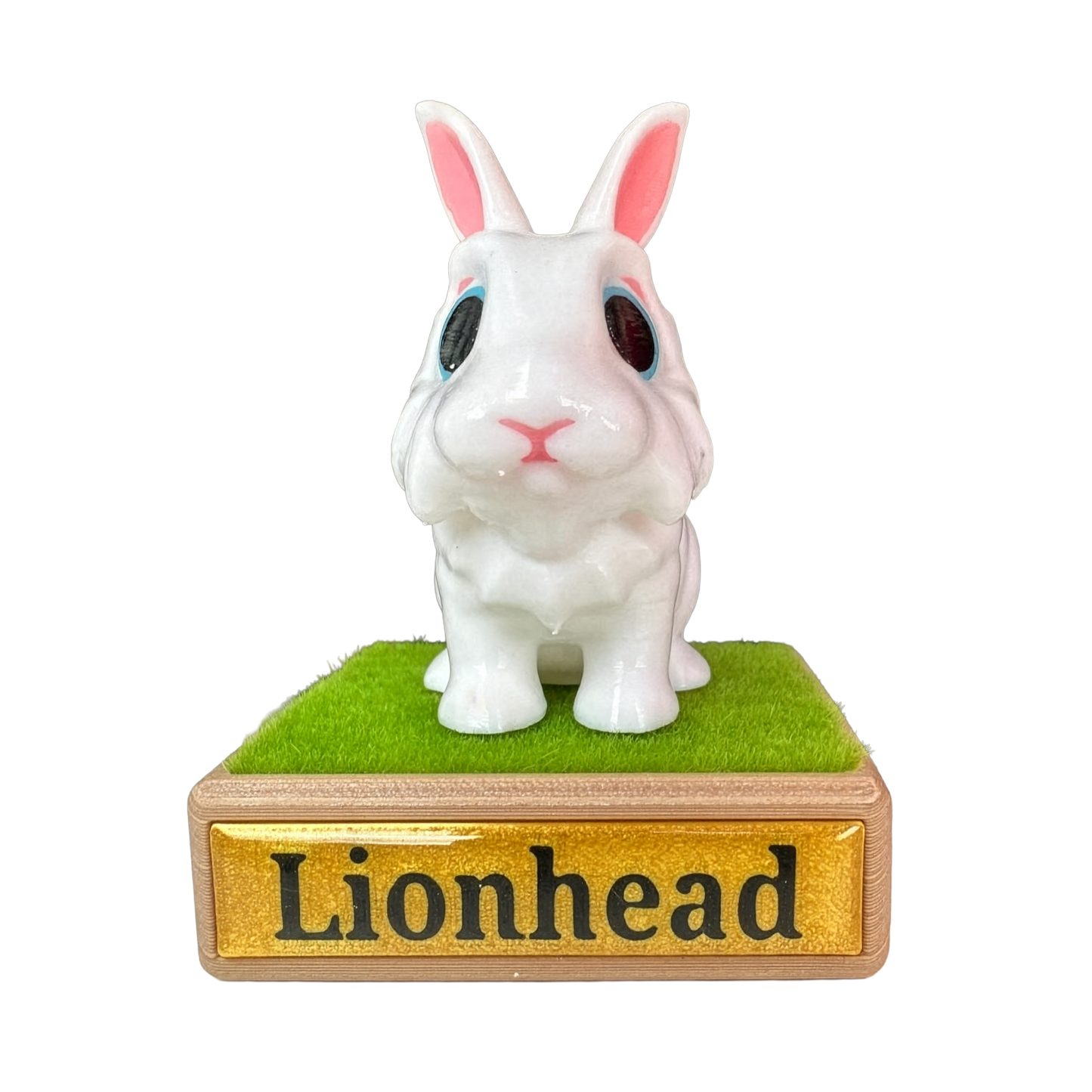 Mini Lionhead Rabbit