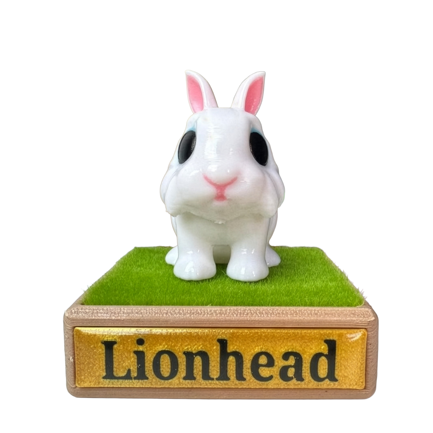 Mini Lionhead Rabbit